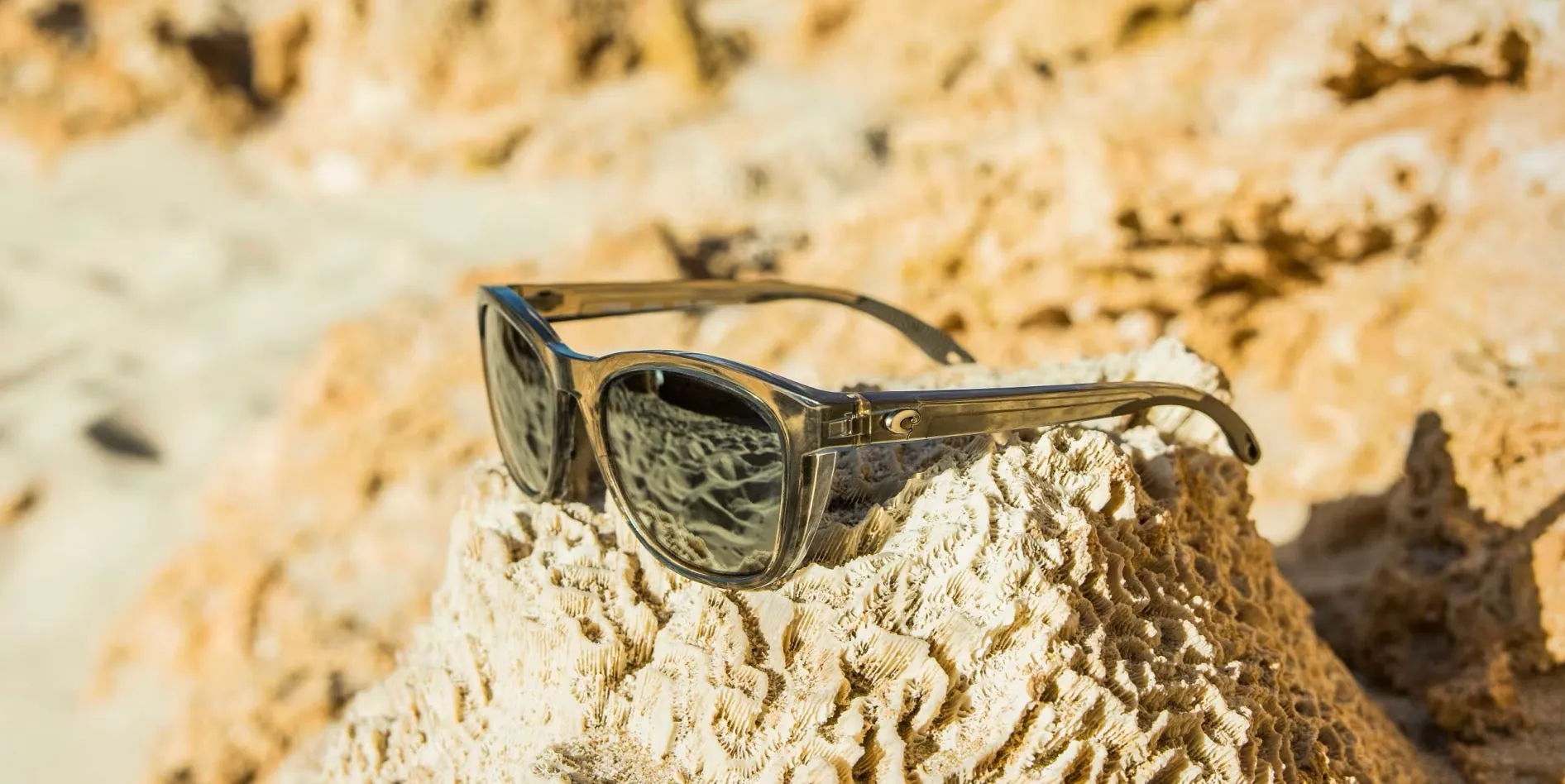 Aleta Sunglass