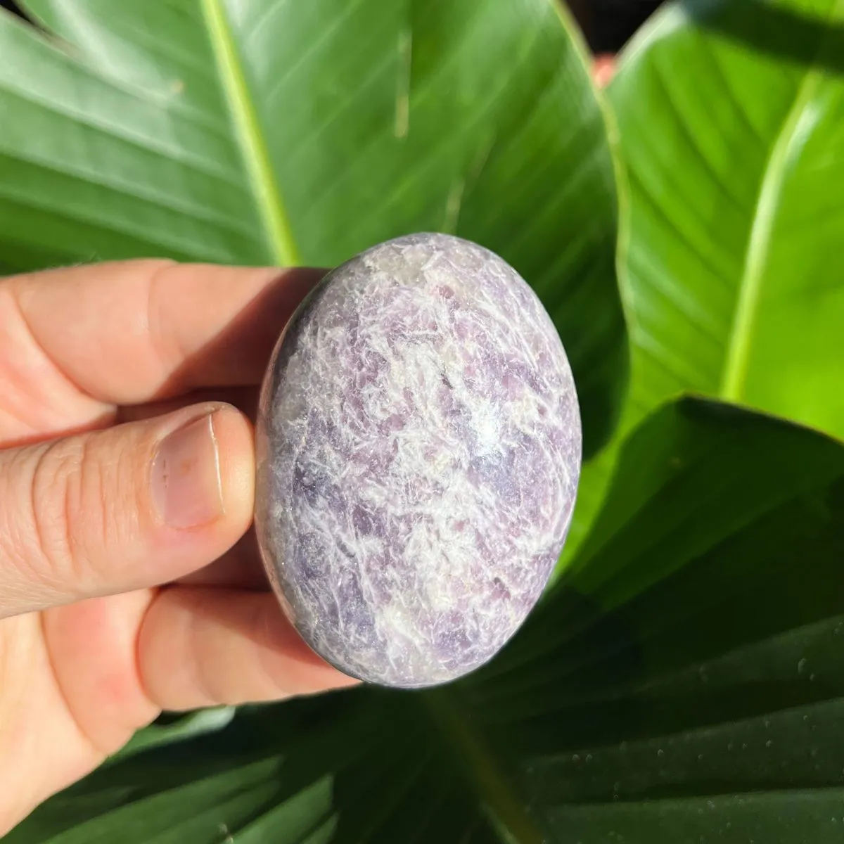 Lepidolite Gallets - Polished Palm Stones